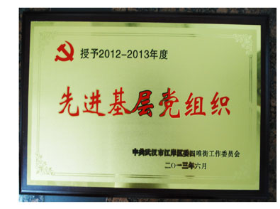 湖北東信醫(yī)藥有限公司黨支部榮獲先進(jìn)基層黨組織榮譽(yù)稱號