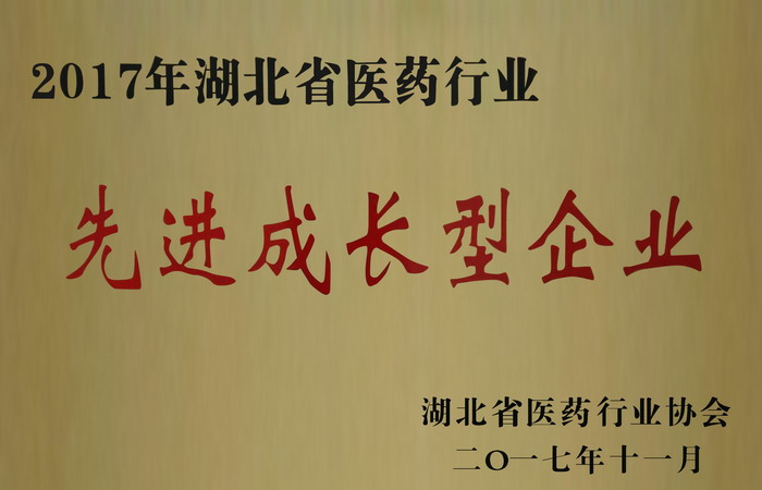 東信藥業(yè)榮獲“湖北省醫(yī)藥行業(yè)先進成長型企業(yè)”，“混合脂肪酸甘油酯...