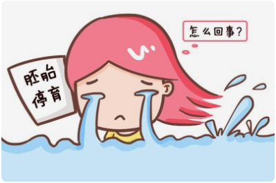 好好的胚胎怎么就停育了呢？