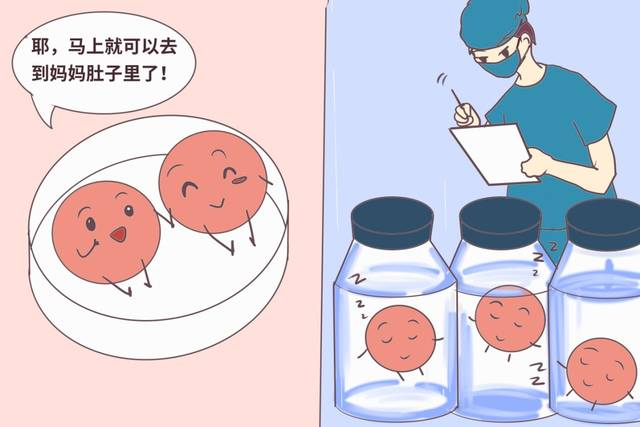 哪些胚胎可用于移植？了解下！