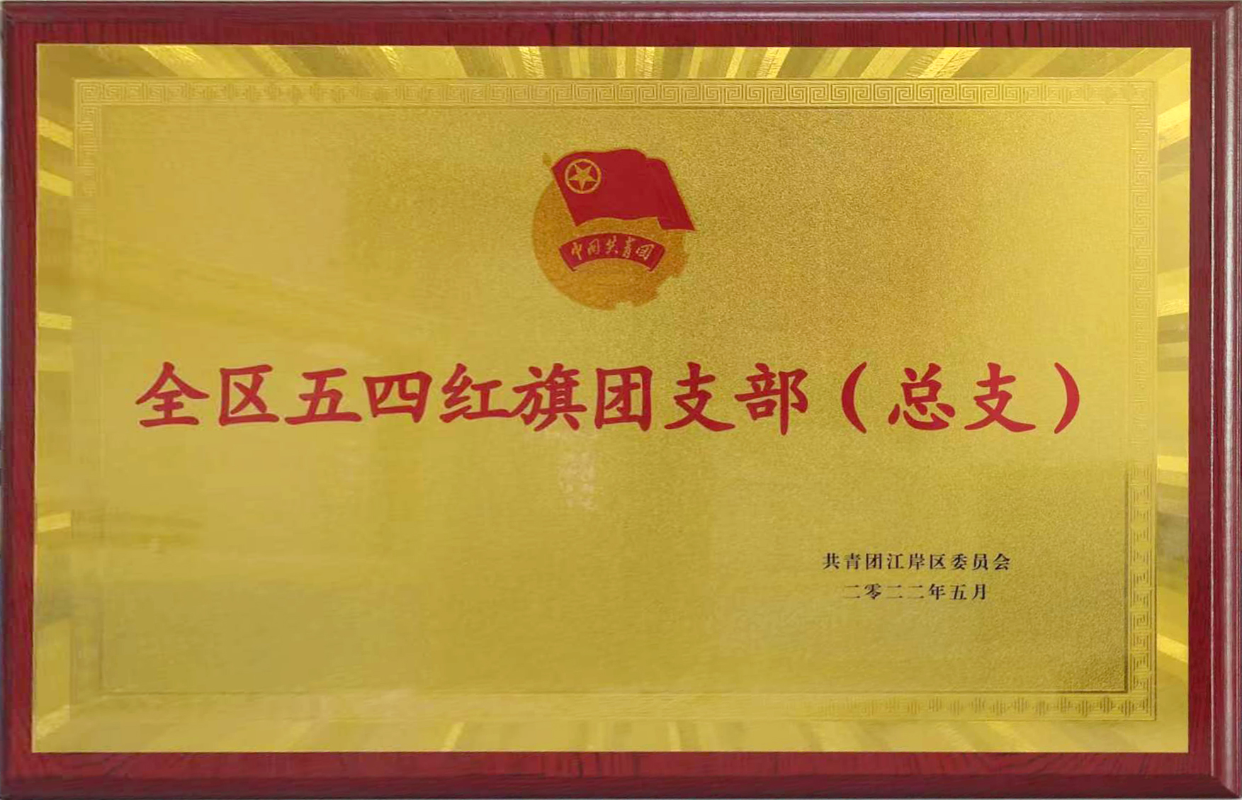 共青團(tuán)成立100周年之際，東信醫(yī)藥團(tuán)支部喜獲武漢市江岸區(qū)“全區(qū)五...