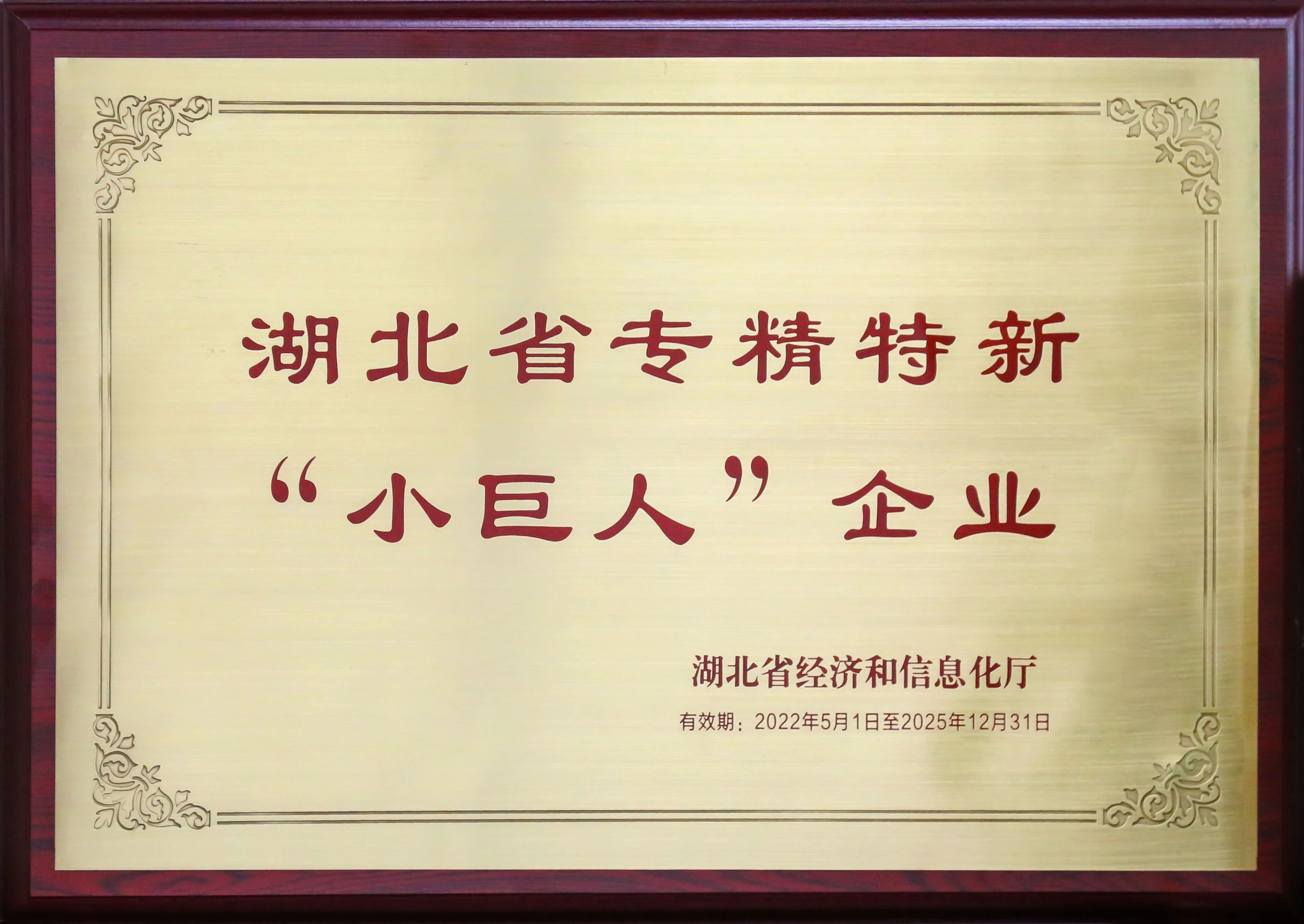 盤點(diǎn)新疆26省聯(lián)盟集采，湖北東信擬中選（婦科）品種數(shù)量名列榜首